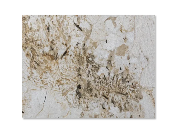 Πάνελ Τοίχου PVC Calcata Matte A – G Construction
