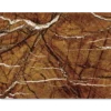 Διακοσμητικό πάνελ τοίχου PVC Tropical Brown με γυαλιστερό φινίρισμα για επένδυση εσωτερικών χώρων